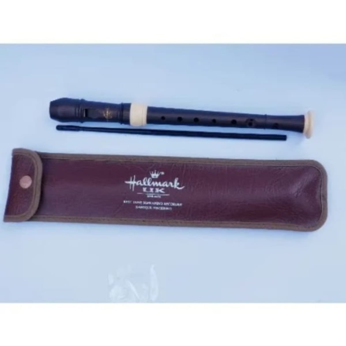 Professional top soprano recorder