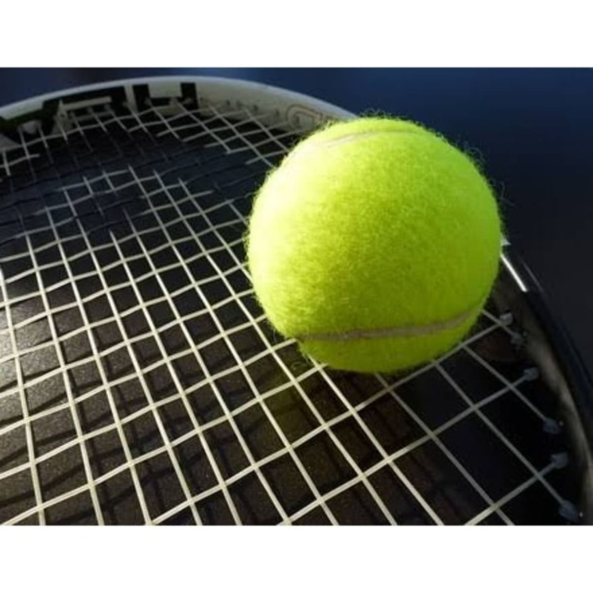 Lawn Tennis Ball Konga Online Shopping