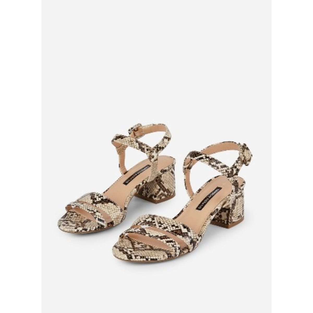 Dorothy perkins snake print clearance