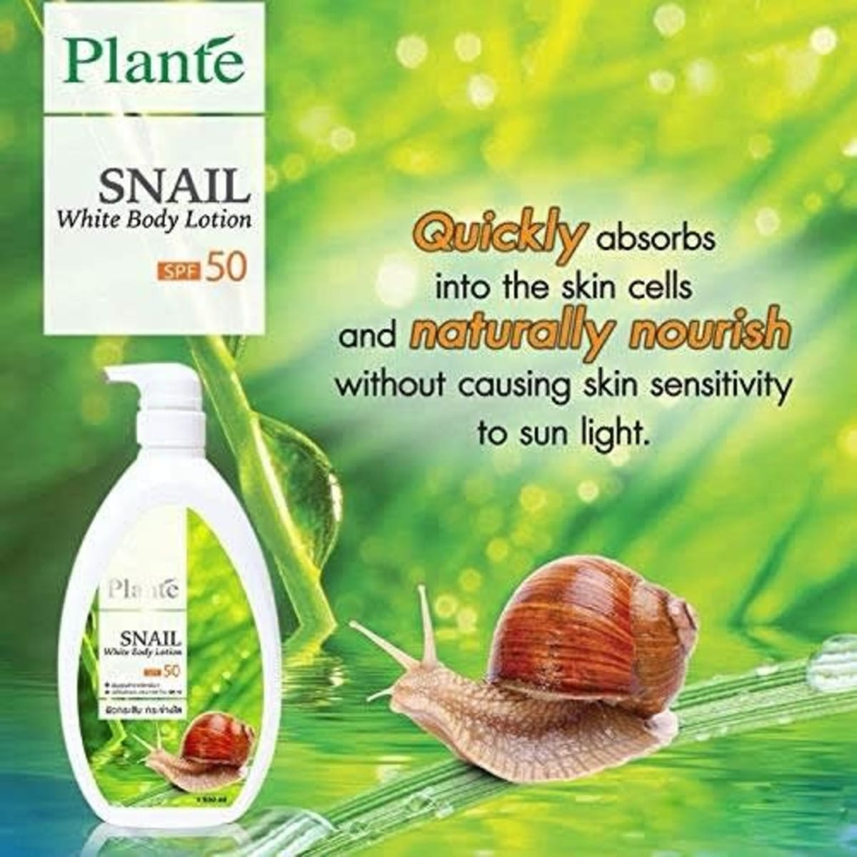 Snail white body best sale