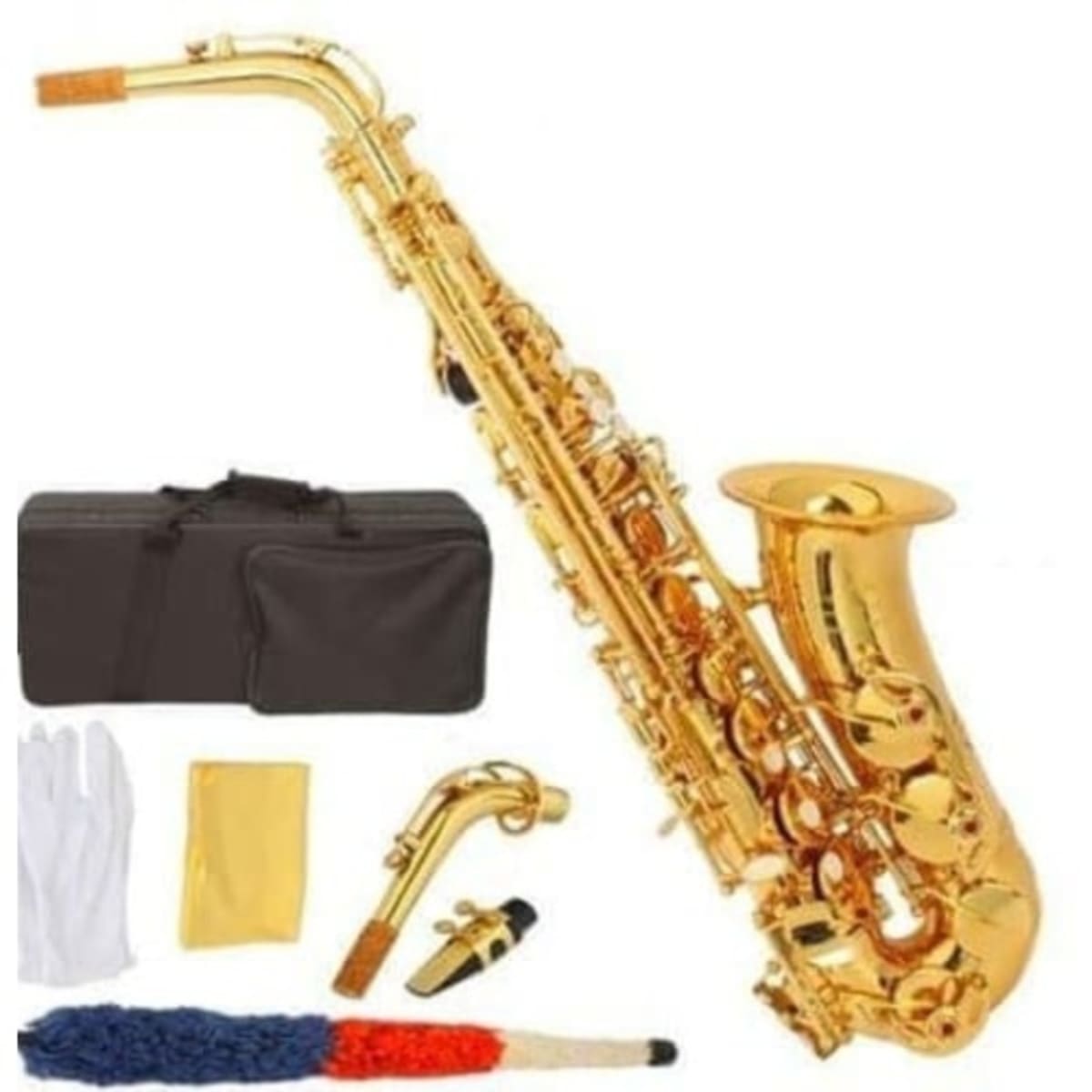Professional store alto saxophone