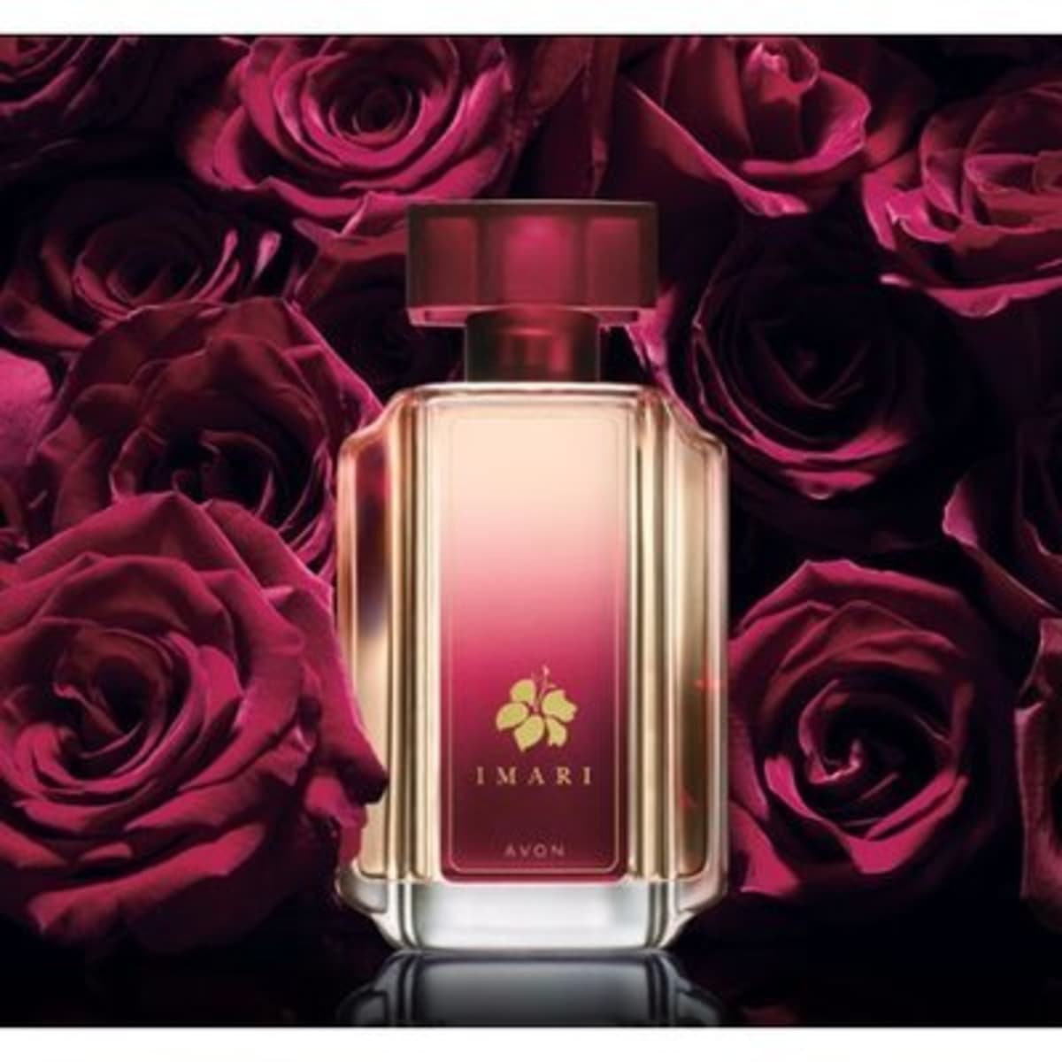 Imari perfume discount