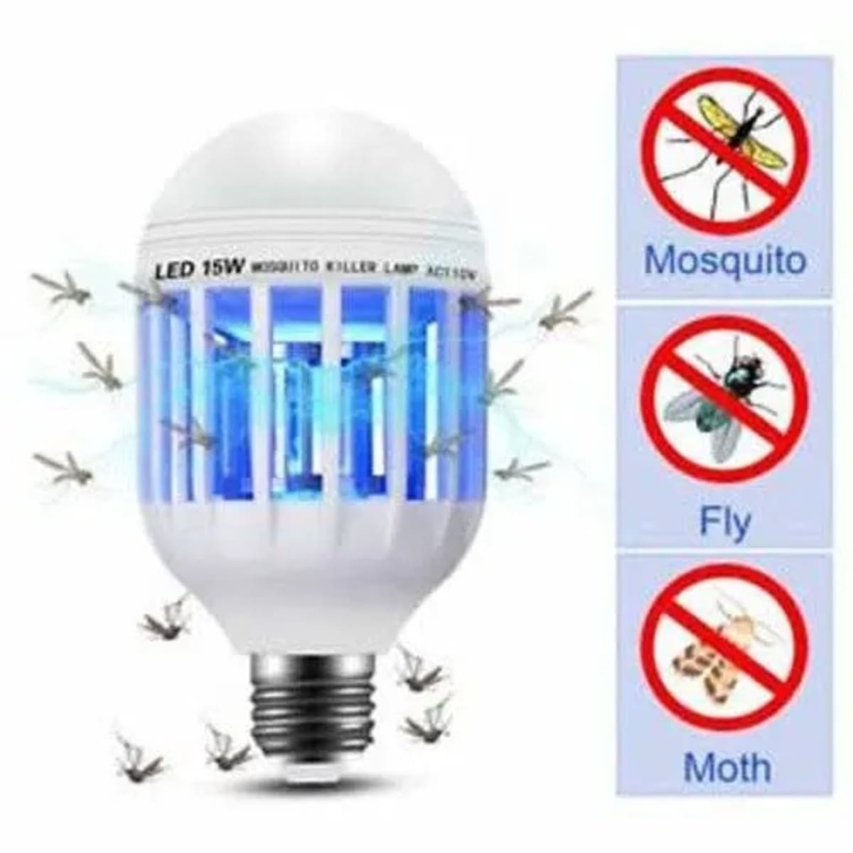 Zapp light store