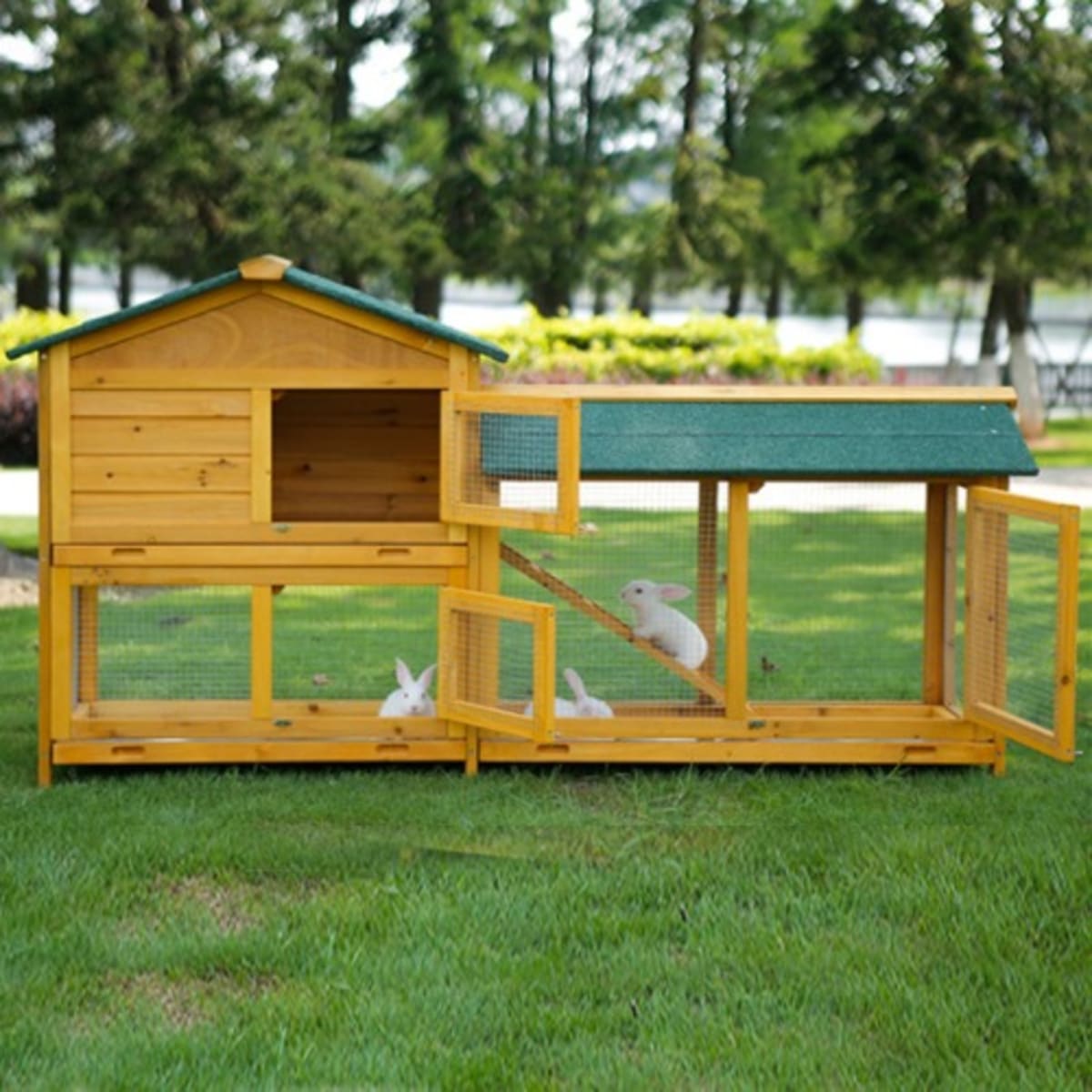 Rabbit condo hot sale for sale