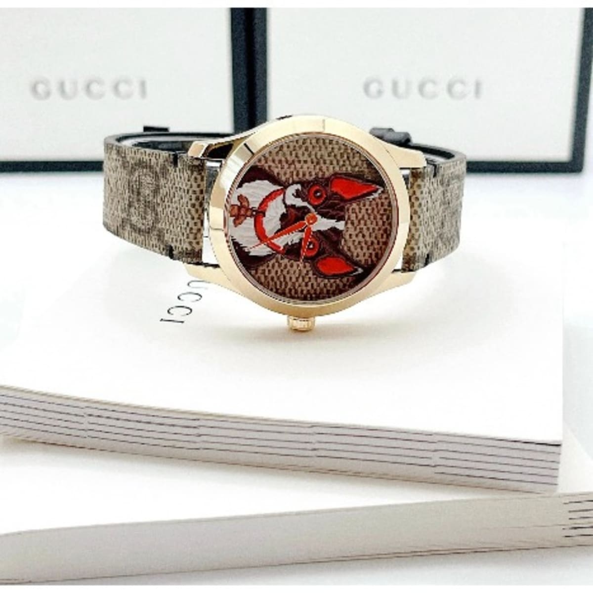 Gucci shop watch dog