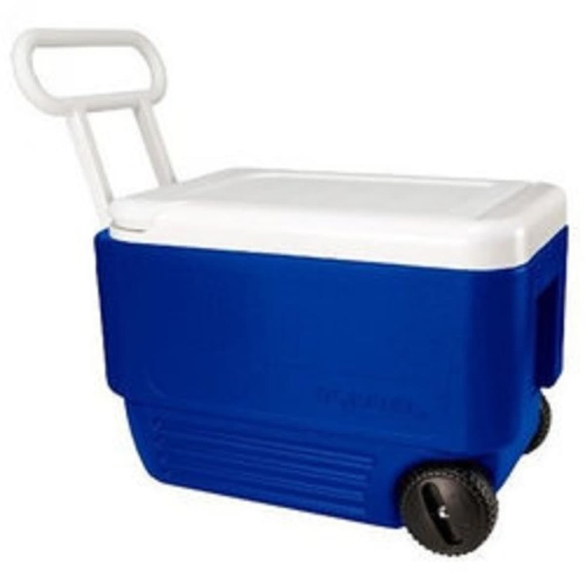 Prices of eleganza coolers 2025