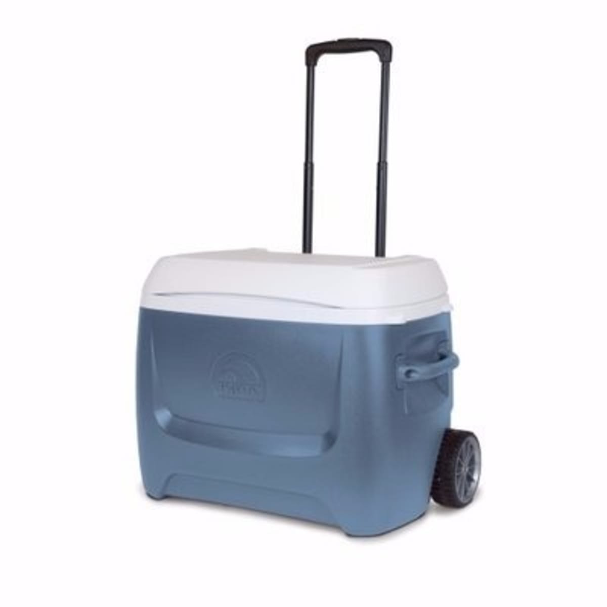 Igloo max shop cold 62