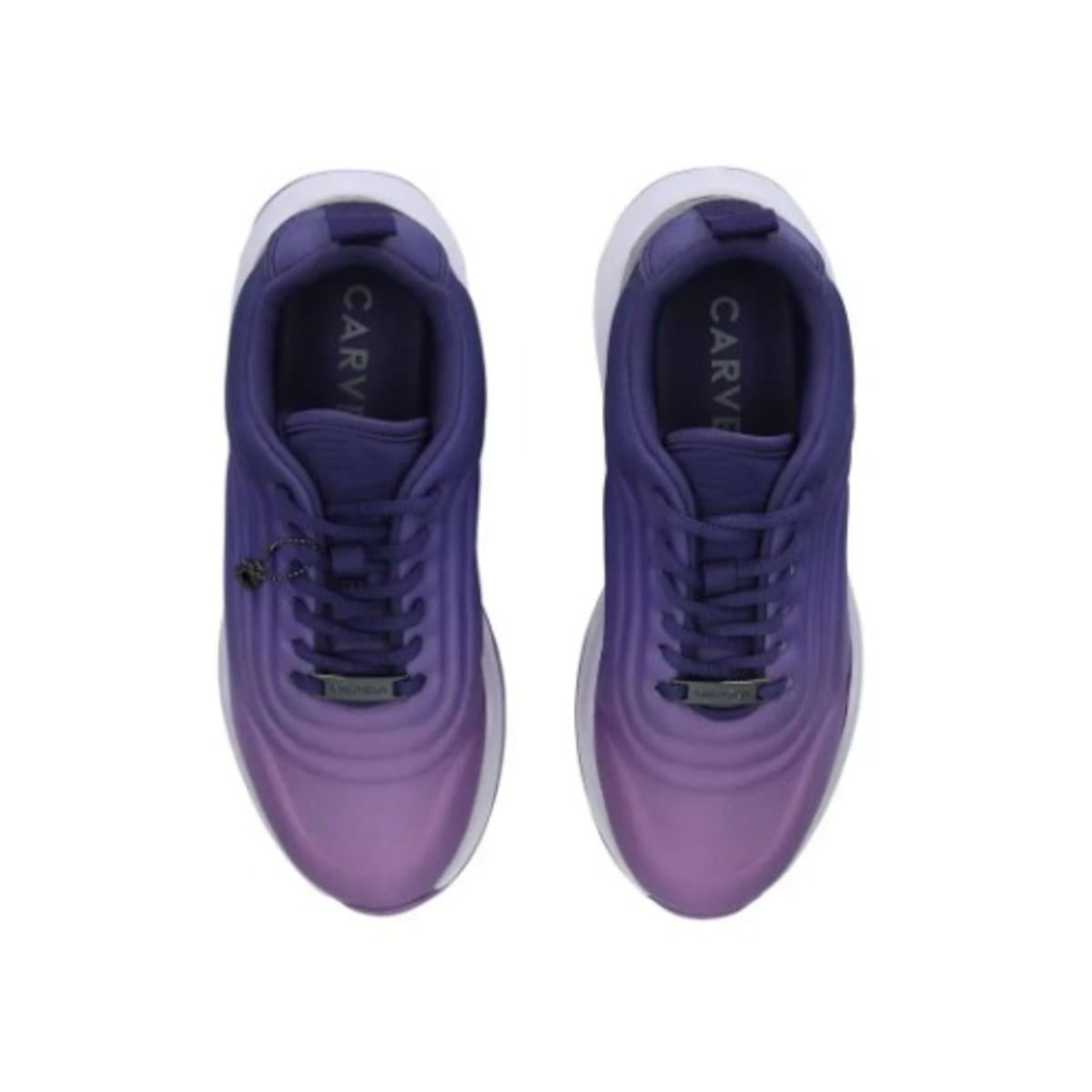 Carvela ombre hot sale shoes