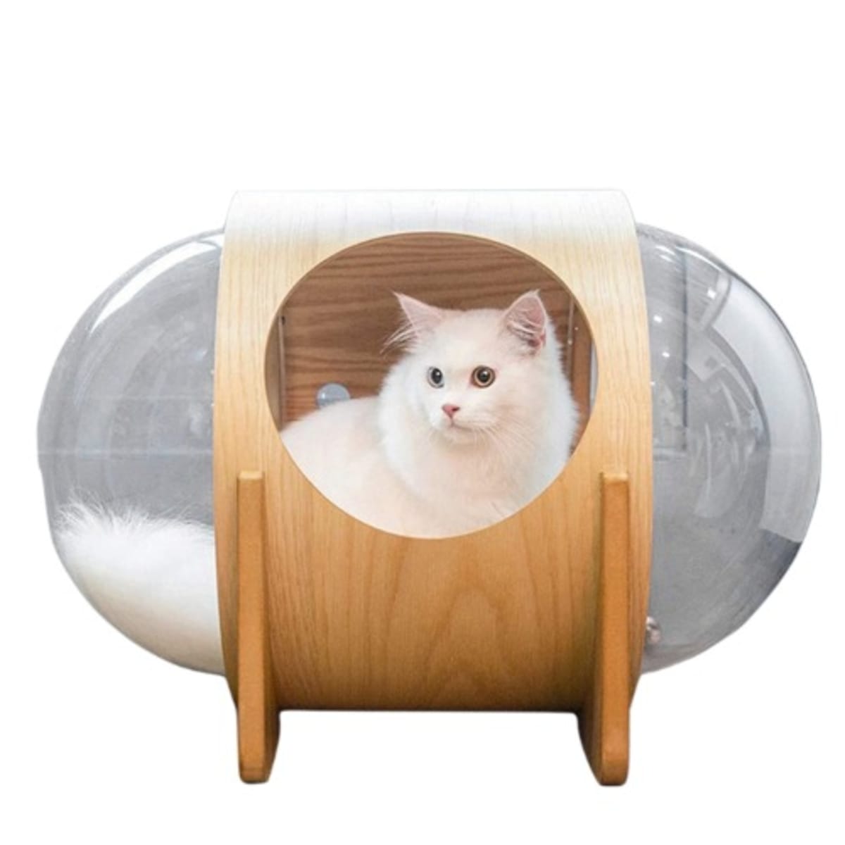 Td cat store