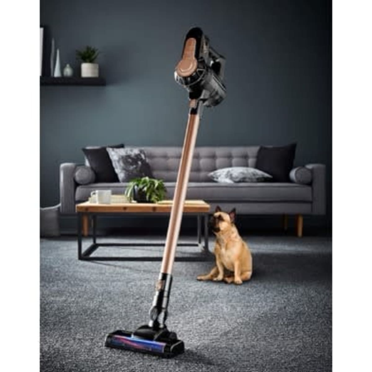 Cordless 2025 upright vacuum