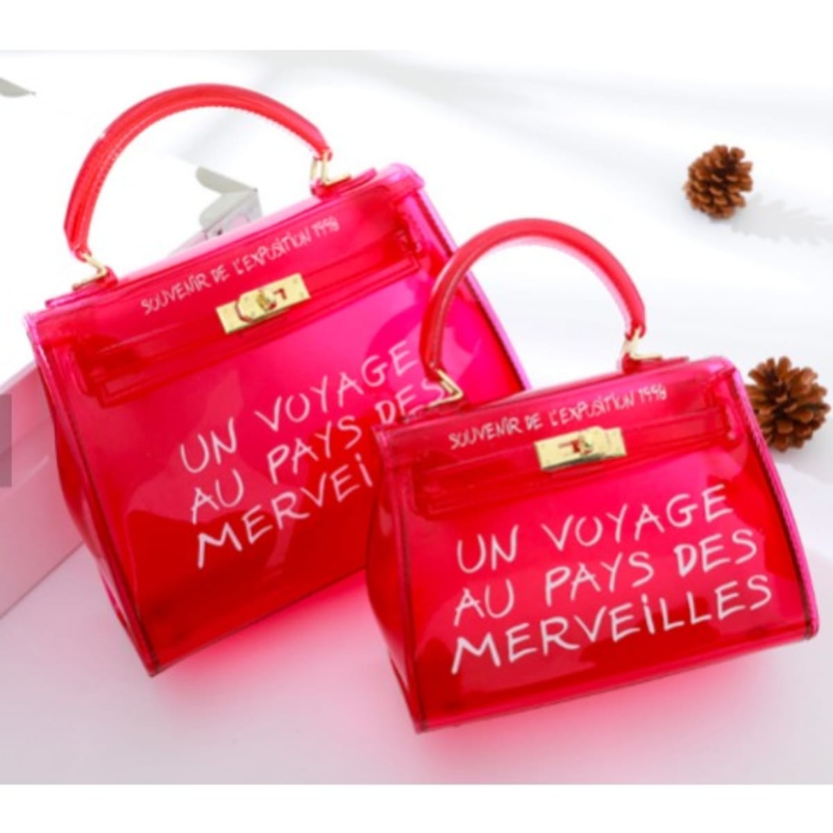 Un voyage clear bag store