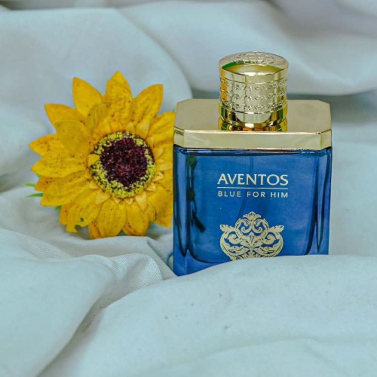 Aventos Blue For Him Edp 100ml Konga Online Shopping