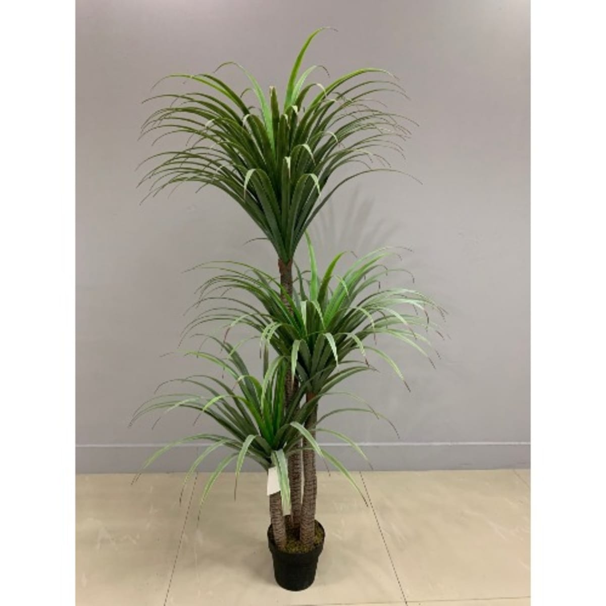 Home bargain outlet artificial plants