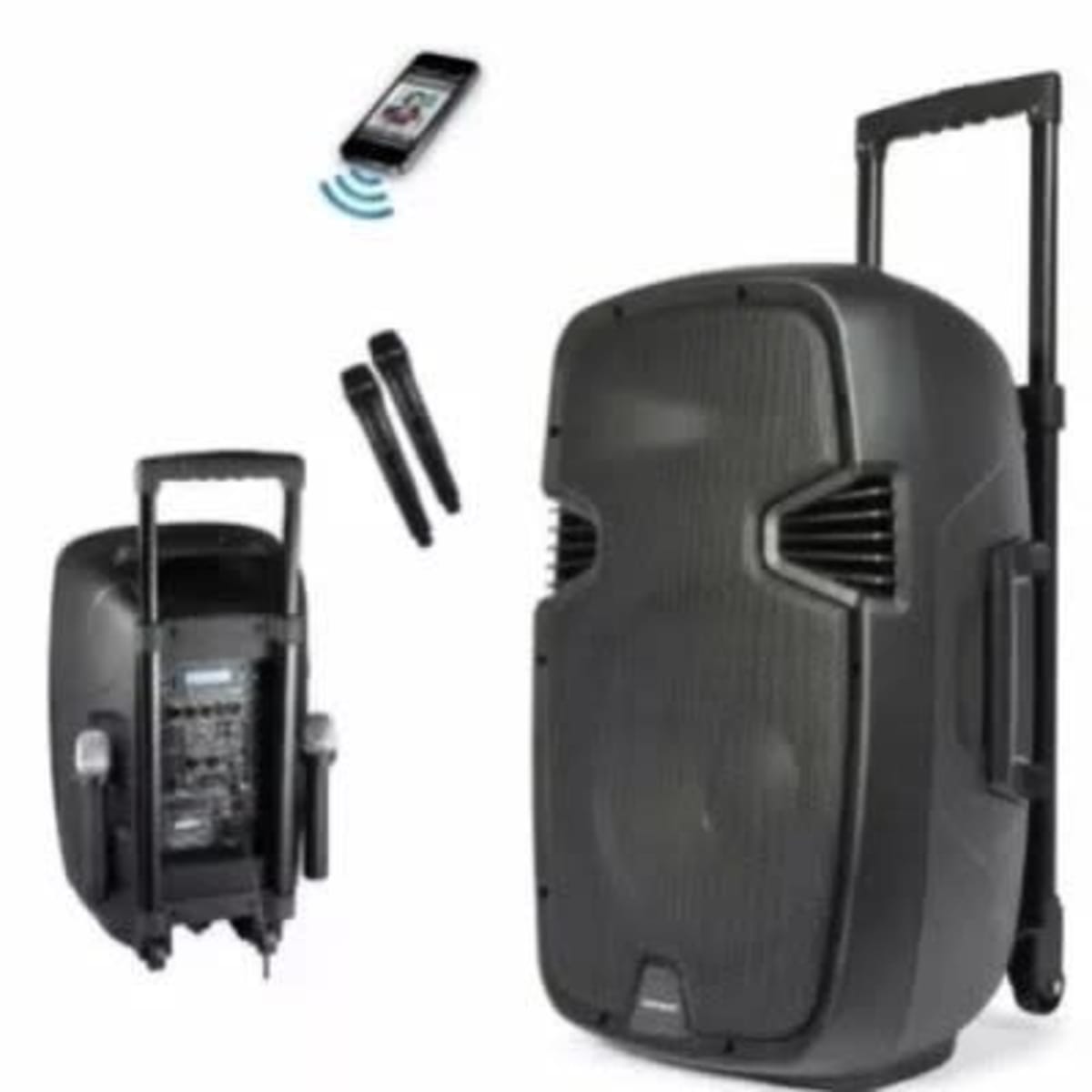 Rechargeable Pa System With Amplifier 2 Microphones