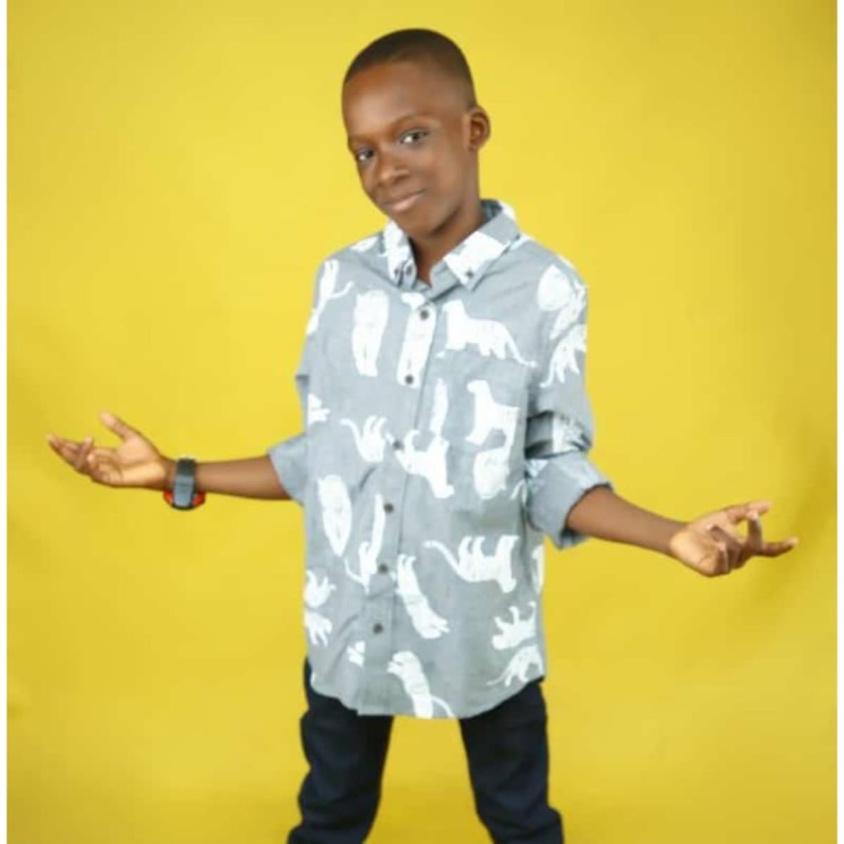 Cat and hot sale jack boys shirts