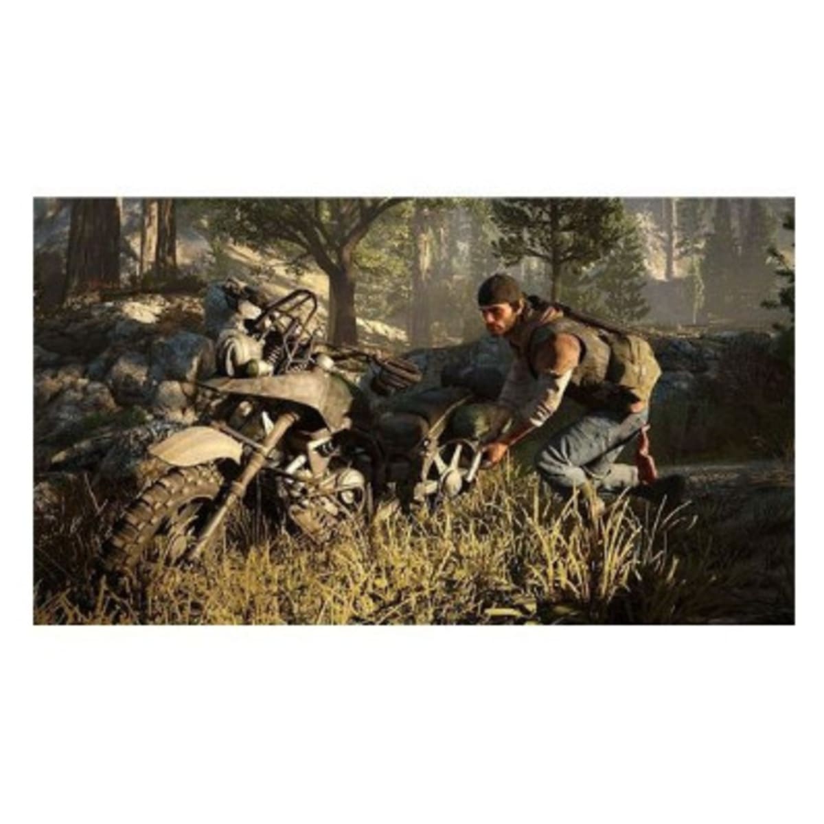 Days Gone Ps4 - Playstation 4