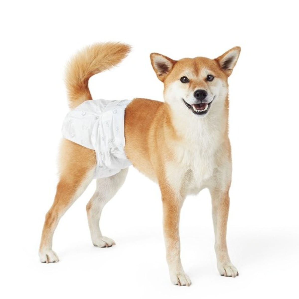 Male dog diapers sales that stay on