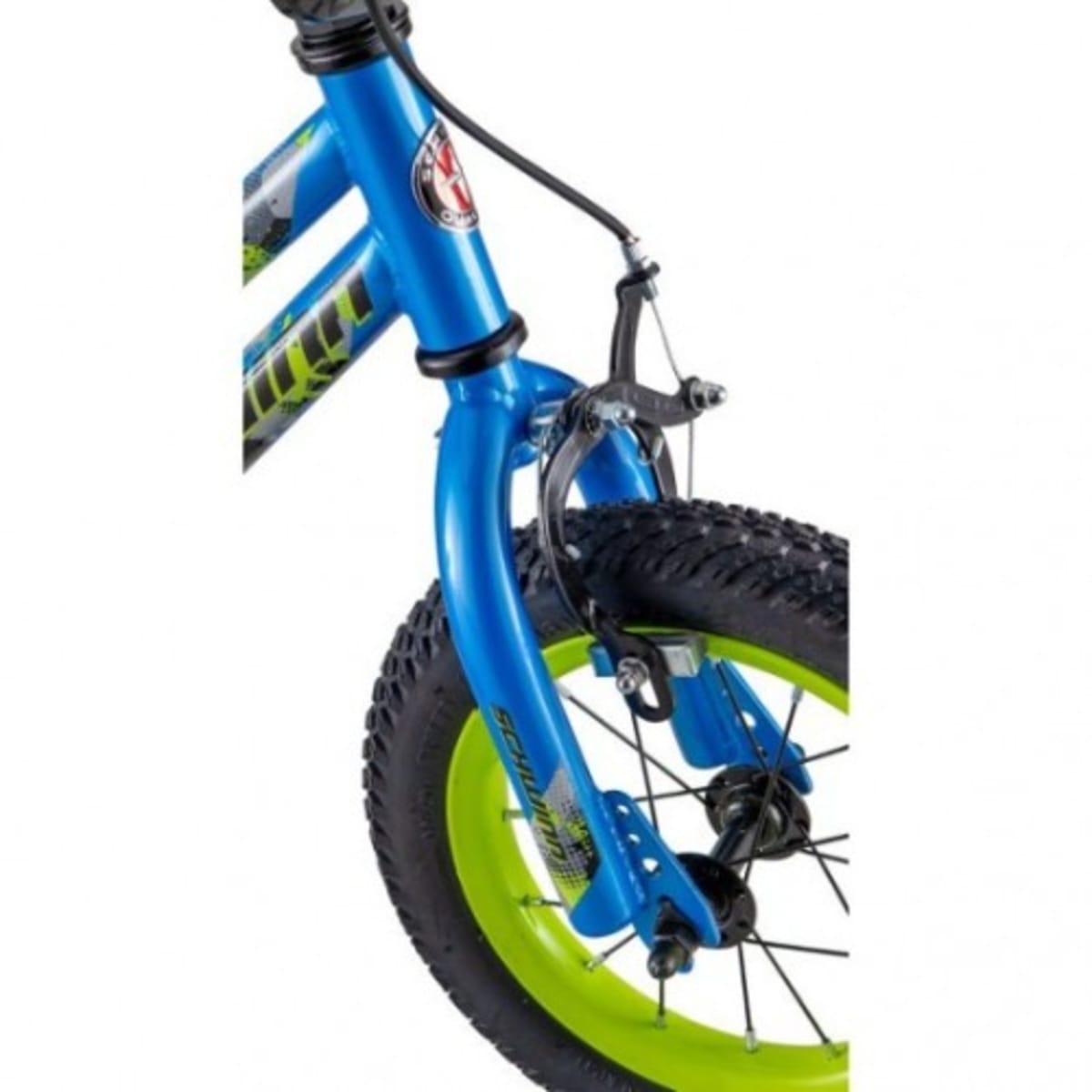 Schwinn duet deals