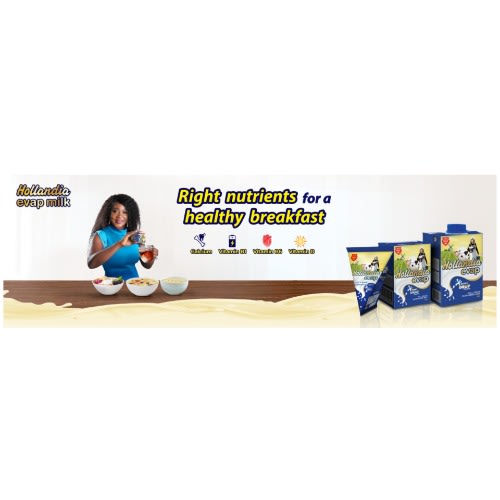 Hollandia Evaporated Full Cream Milk 190g X 12 Konga Online Shopping
