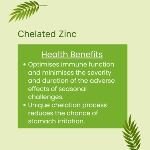 GNLD Chelated Zinc 100 Tablets (single) Konga Online Shopping