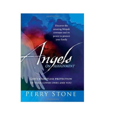 The Book Angels On Assignment