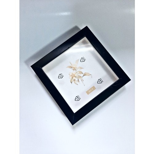 Shadow Box Frame 6x6 Inches (15x15cm) Konga Online Shopping
