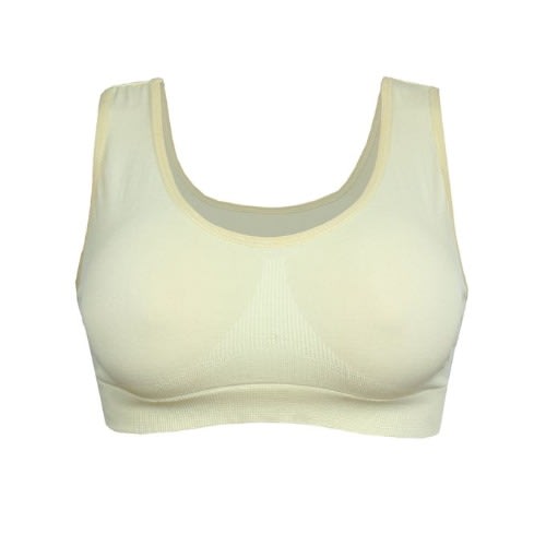 padded crop bra