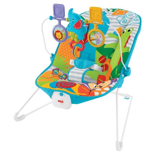 fisher price infant bouncer