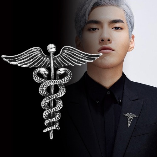 Wings brooch deals
