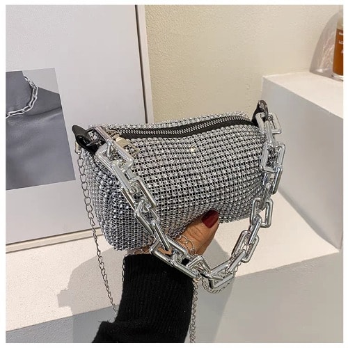Ladies shop silver bag