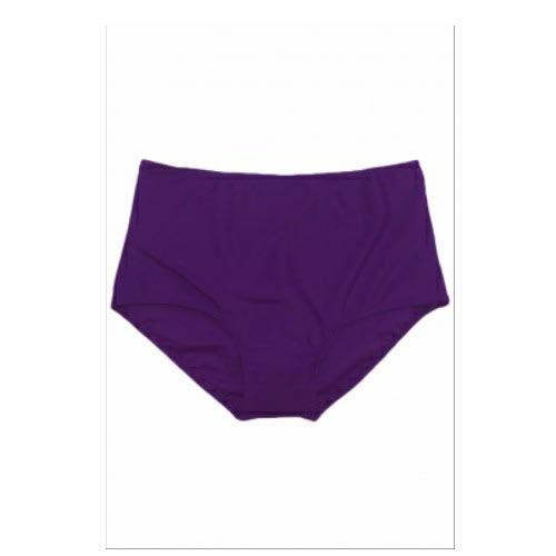 purple high waisted bikini bottoms