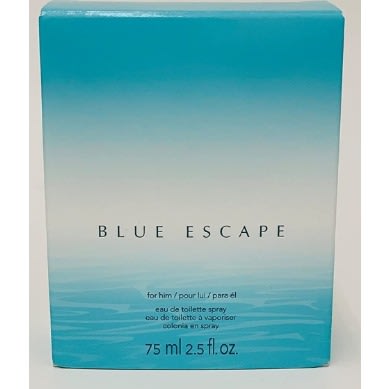 Avon blue escape for him deals