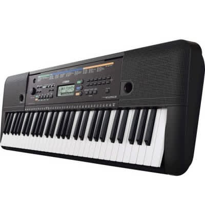 Psr e 253 cheap