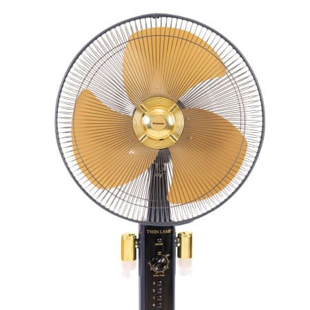 F-407w 220 Volts Stand Fan With Timer.