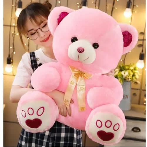 Teddy pink best sale