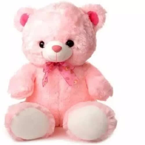 teddy bear valentines gift