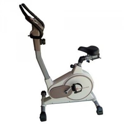 big w magnetic bike
