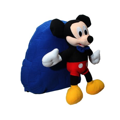 mickey teddy