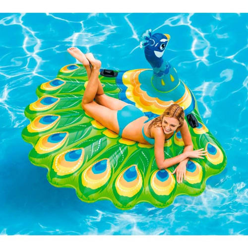 Intex peacock clearance