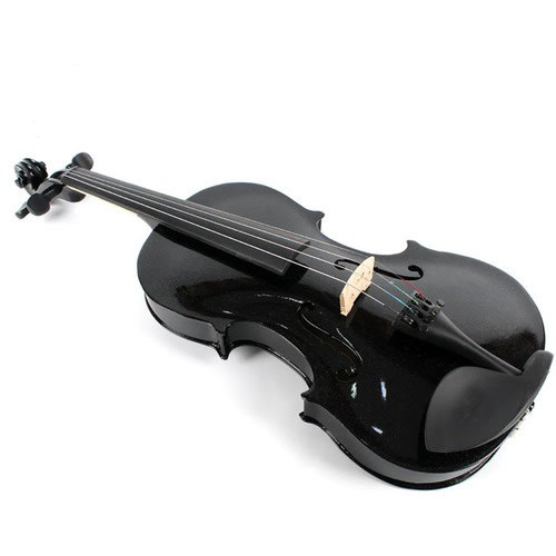 バイオリンwarranty 4／4