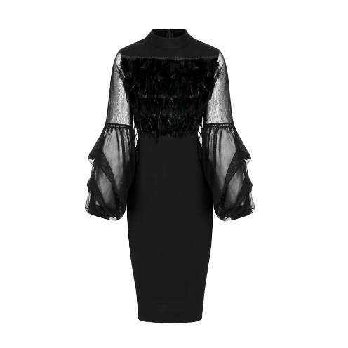 black dress with feather sleeves