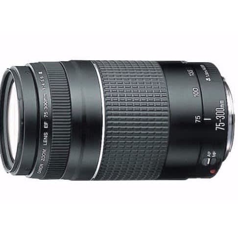 Canon Ef 75-300mm F/4-5.6 Iii Telephoto Zoom Lens For Canon Slr ...