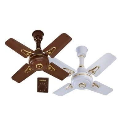 Qasa 24inche Short Blade Ceiling Fan White