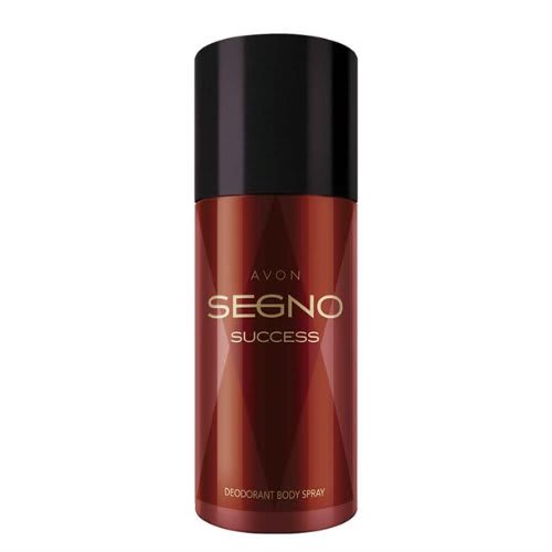 Avon Segno Success Eau De Parfum Spray For Him 150ml Konga Online Shopping