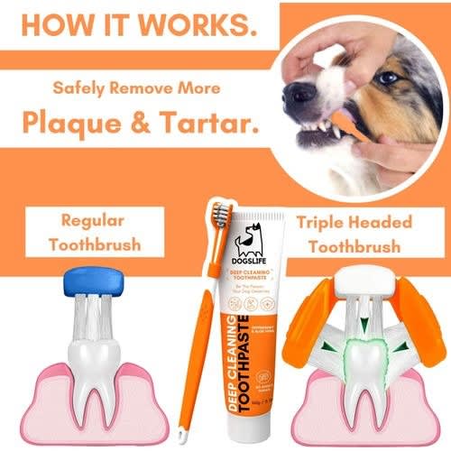 Dogslife Dental Care Kit Konga Online Shopping
