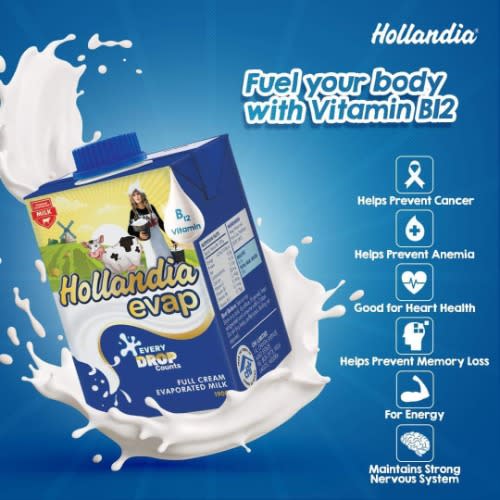 Hollandia Evap Full Cream Evaporated Milk 190g 12pcs Konga Online