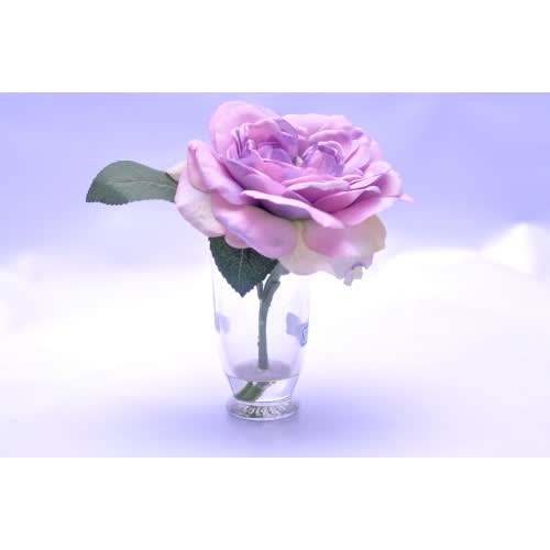 Single Rose Flower In Glass Vase Konga Online Shopping