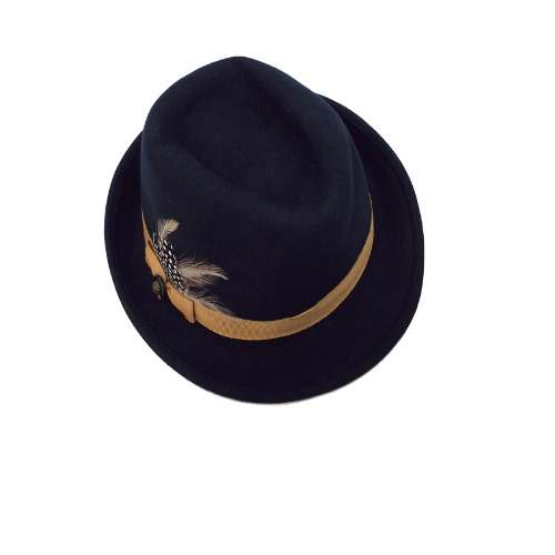 accessorize fedora