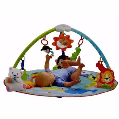 deluxe musical activity gym