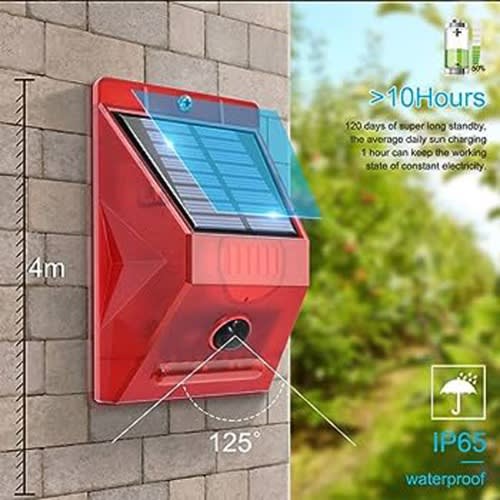 Solar powered motion hotsell detector